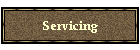 Servicing